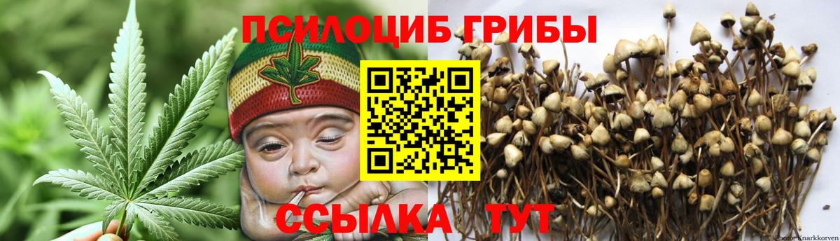 Псилоцибиновые грибы мицелий Домодедово